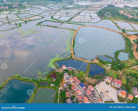 九江溼地公園在哪裏？在這個生態保護議題日益受到重視的時代，我們不得不思考如何平衡城市發展與自然保護之間的關係。